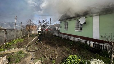 Не міг самостійно вибратись із задимленого приміщення: на Черкащині з пожежі врятували собаку Не міг самостійно вибратись із задимленого приміщення: на Черкащині з пожежі врятували собаку