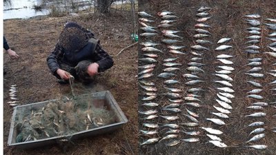 Двоє волинян наловили риби майже на 40 тисяч гривень. Їх оштрафують