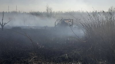 Через підпал сухостою, у Червонограді згоріли 10 дачних будинків