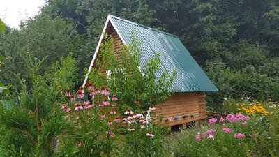 Фото: Суспільне Поділля Фото: Суспільне Поділля