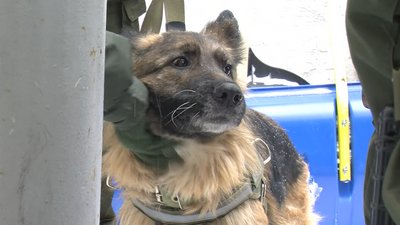 Волинські силовики провели навчання у суді Волинські силовики провели навчання у суді