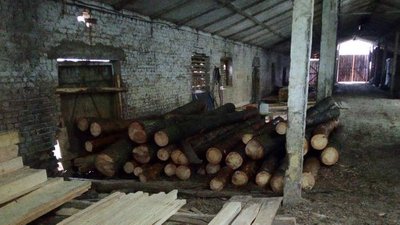 Волинянин на авто викрав із лісгоспу заготовлену деревину