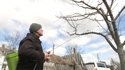 Обробка дерев: садівник з Тернопільщини розповів про догляд за садом