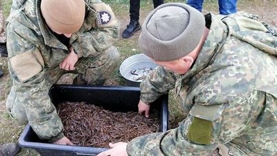 На Херсонщині браконьєр виловив креветок на 16 тисяч гривень