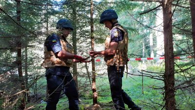 Міни та гранати виявили рятувальники в селі Торунь на Закарпатті