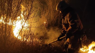 Пожежі на Волині, горіла суха трава і чагарники