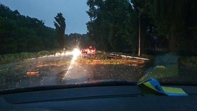 Через грозу в Кропивницькому на дороги падають дерева та електродроти Через грозу в Кропивницькому на дороги падають дерева та електродроти
