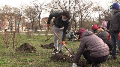 Школярі Херсона висадили 100 троянд у міському парку