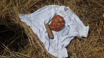 За давніми традиціями: у селі на Черкащині відзначили зажинки За давніми традиціями: у селі на Черкащині відзначили зажинки