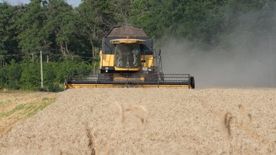 комбайн збирає пшеницю