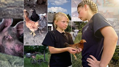 Щоденники забутих сіл