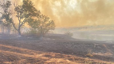 Пожежа у Березівському районі Одещини