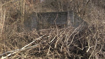 "Глибина дуже велика": що кажуть жителі про провалля у лісі на Тернопільщині "Глибина дуже велика": що кажуть жителі про провалля у лісі на Тернопільщині