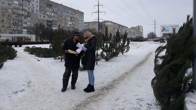У Кропивницькому чоловік незаконно продавав сосни. Який передбачений за це штраф? У Кропивницькому чоловік незаконно продавав сосни. Який передбачений за це штраф?