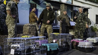 Війна й коти: евакуація тварин із колонії з-під Мар’їнки. Фоторепортаж Війна й коти: евакуація тварин із колонії з-під Мар’їнки. Фоторепортаж