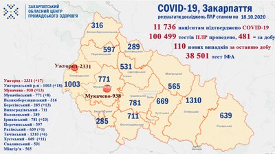 COVID-19 на Закарпатті: 110 нових випадків захворювання за добу COVID-19 на Закарпатті: 110 нових випадків захворювання за добу