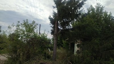 "Ремонтувати будуть люди та сільська рада" — яку допомогу обіцяють мешканцям обстріляного села Біловоди на Сумщині "Ремонтувати будуть люди та сільська рада" — яку допомогу обіцяють мешканцям обстріляного села Біловоди на Сумщині