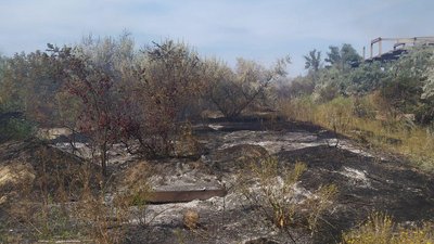 В Одеській області поблизу готельного комплексу зайнялось 4 тисячі кв. м. сухої трави та очерету В Одеській області поблизу готельного комплексу зайнялось 4 тисячі кв. м. сухої трави та очерету