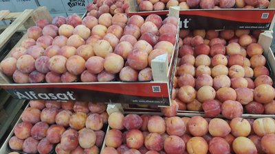 Чернівецька митниця знову не продала сливи. Замість 20 тонн виставили дві тисячі кілограмів