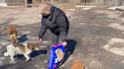 У Сумах волонтери готують корм для близько 200 собак і котів, які залишились в місті У Сумах волонтери готують корм для близько 200 собак і котів, які залишились в місті