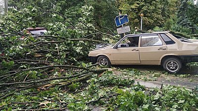 Пошкоджені автівки та 60 населених пунктів — без світла. Наслідки негоди на Сумщині Пошкоджені автівки та 60 населених пунктів — без світла. Наслідки негоди на Сумщині