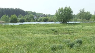 Конкурс екологічних ініціатив на Полтавщині: голосування відтермінували Конкурс екологічних ініціатив на Полтавщині: голосування відтермінували