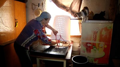 На Житомирщині Раїса Лукашевич підгодовує п'ятдесят котів та вісім собак – їм бракує їжі На Житомирщині Раїса Лукашевич підгодовує п'ятдесят котів та вісім собак – їм бракує їжі