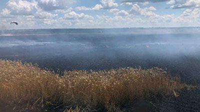 На Харківщині окупанти поцілили у поля: зайнялася пшениця На Харківщині окупанти поцілили у поля: зайнялася пшениця