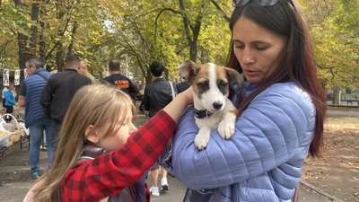 40 собак та котів знайшли новий дім. У Миколаєві відбулася чергова виставка-прилаштування