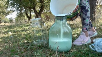 Молоко, яке надоїли дівчата