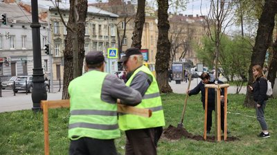 У Львові висадили дерева на пам'ять про загиблих воїнів, 4 квітня 2024 У Львові висадили дерева на пам'ять про загиблих воїнів, 4 квітня 2024
