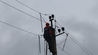 Повалені дерева та відсутність електропостачання — наслідки негоди на Вінниччині Повалені дерева та відсутність електропостачання — наслідки негоди на Вінниччині