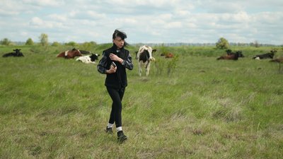 "Їм у нас спокійно і з ними класно". Подружжя фермерів-переселенців з Донецька прихистили 20 корів з прифронтових територій