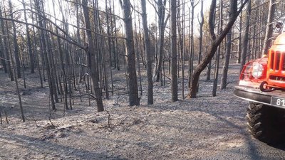Результати пожежі. Фото:
ГУ ДСНС України у Полтавській області Результати пожежі. Фото:
ГУ ДСНС України у Полтавській області