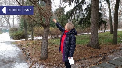 У ботанічному саду Сумського педуніверситету висадили 7 нових видів хвойних рослин У ботанічному саду Сумського педуніверситету висадили 7 нових видів хвойних рослин