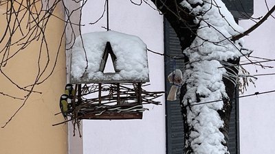 Погода на Рівненщині