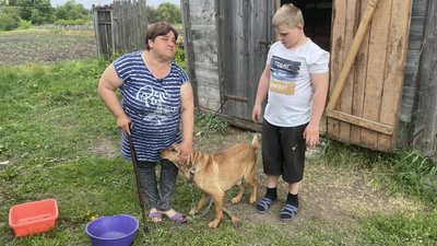 Сім'я переселенців з Харківщини, які живуть на Полтавщині, повернули свого пса, якого не бучили рік Сім'я переселенців з Харківщини, які живуть на Полтавщині, повернули свого пса, якого не бучили рік