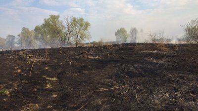 На Чернігівщині через спалювання трави сталося 38 пожеж, 1 людина загинула На Чернігівщині через спалювання трави сталося 38 пожеж, 1 людина загинула