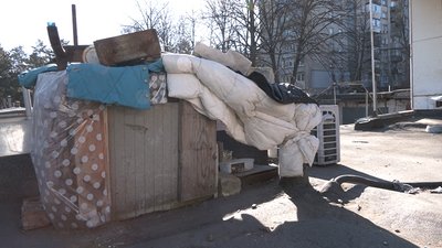 Не знає, як ходити по землі: у Дніпрі собака Яреська понад вісім років живе на даху гаражів Не знає, як ходити по землі: у Дніпрі собака Яреська понад вісім років живе на даху гаражів