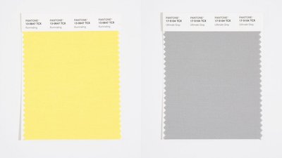 Інститут кольору Pantone вибрав два головних відтінки 2021 року