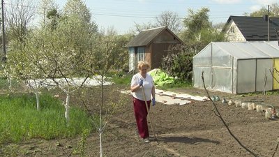 Робота на городі відволікає від думок про війну: дачники поблизу Луцька садять урожай