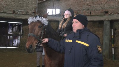 дснс коні харків дснс коні харків
