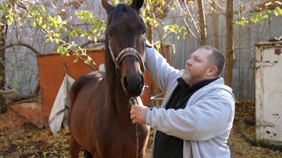 Херсон, Антонівка, коні, тварини, обстріли 