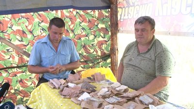 На околиці селища Самарівка археологи проводять розкопки одного з найбільших міст Південної України На околиці селища Самарівка археологи проводять розкопки одного з найбільших міст Південної України