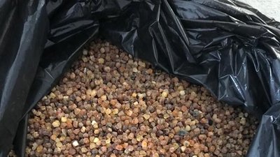 На кордоні з Польщею у авто знайшли 13 кілограмів прихованого бурштину