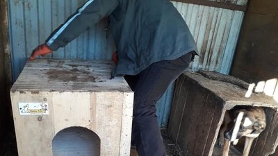 "Happy Paw" подарував "Дому Сірка" 14 будок "Happy Paw" подарував "Дому Сірка" 14 будок