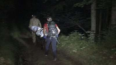У Карпатах після укусів ос помер чоловік
