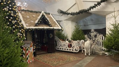 У метро Харкова засвітили новорічну ялинку: офіційного відкриття не було У метро Харкова засвітили новорічну ялинку: офіційного відкриття не було