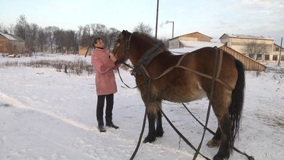 4-річна Зорька-Полька прибирає сніг біля Новгород-Сіверської райлікарні. 4-річна Зорька-Полька прибирає сніг біля Новгород-Сіверської райлікарні.