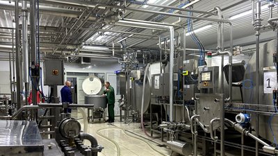 Лишалося сто корів і сто телят. Останній молочний комбінат Донеччини: історія відродження ферми Лишалося сто корів і сто телят. Останній молочний комбінат Донеччини: історія відродження ферми
